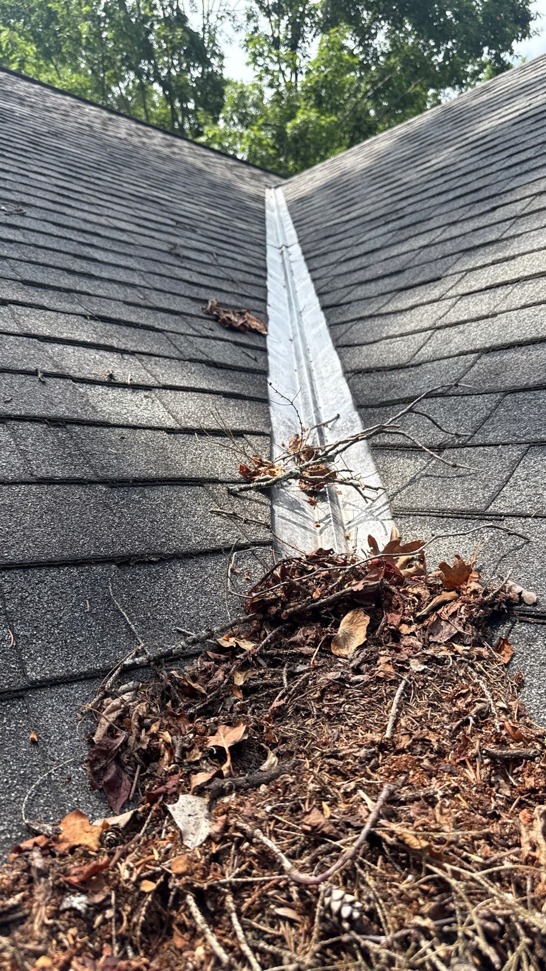 Leaves clogging a roof valley