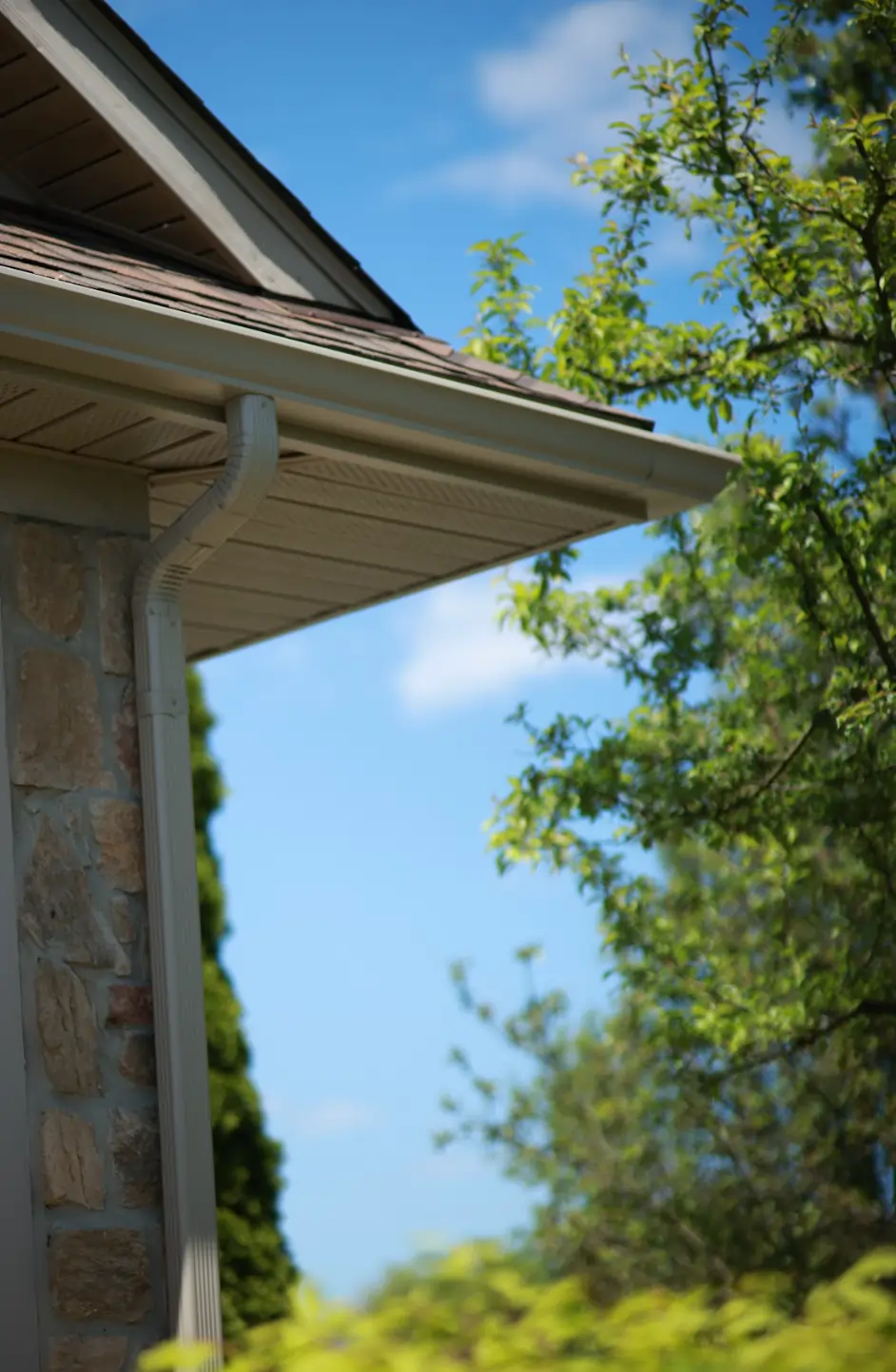 Screenshot 2026 03 18 at 9.54.55 AM