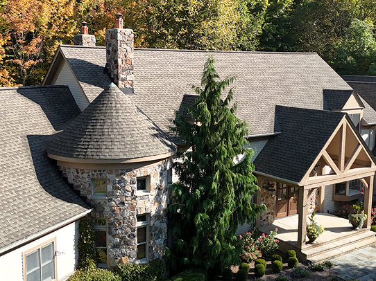 down net http20241024 154 5ymt94 1